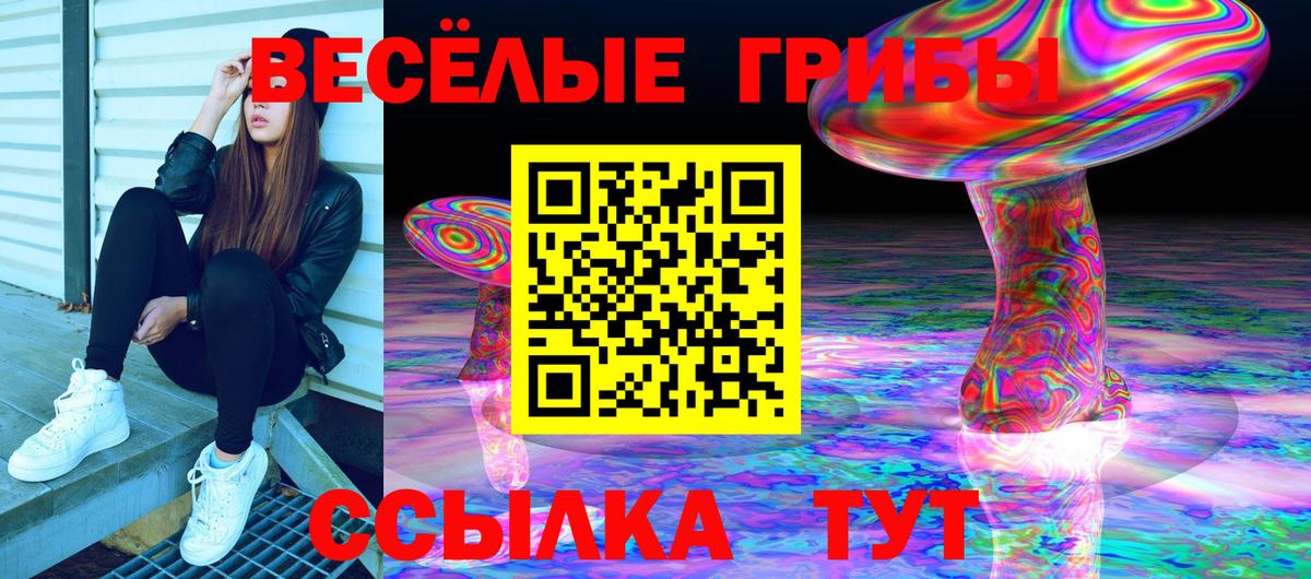 Галлюциногенные грибы Magic Shrooms Железногорск