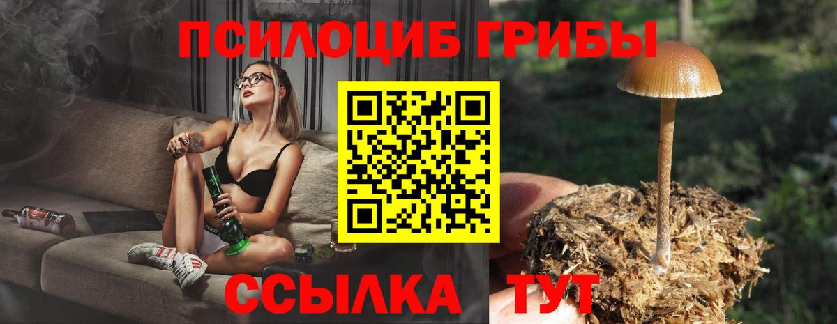 Железногорск  Галлюциногенные грибы MAGIC MUSHROOMS  Вход с VPN  Галлюциногенные грибы мухоморы 